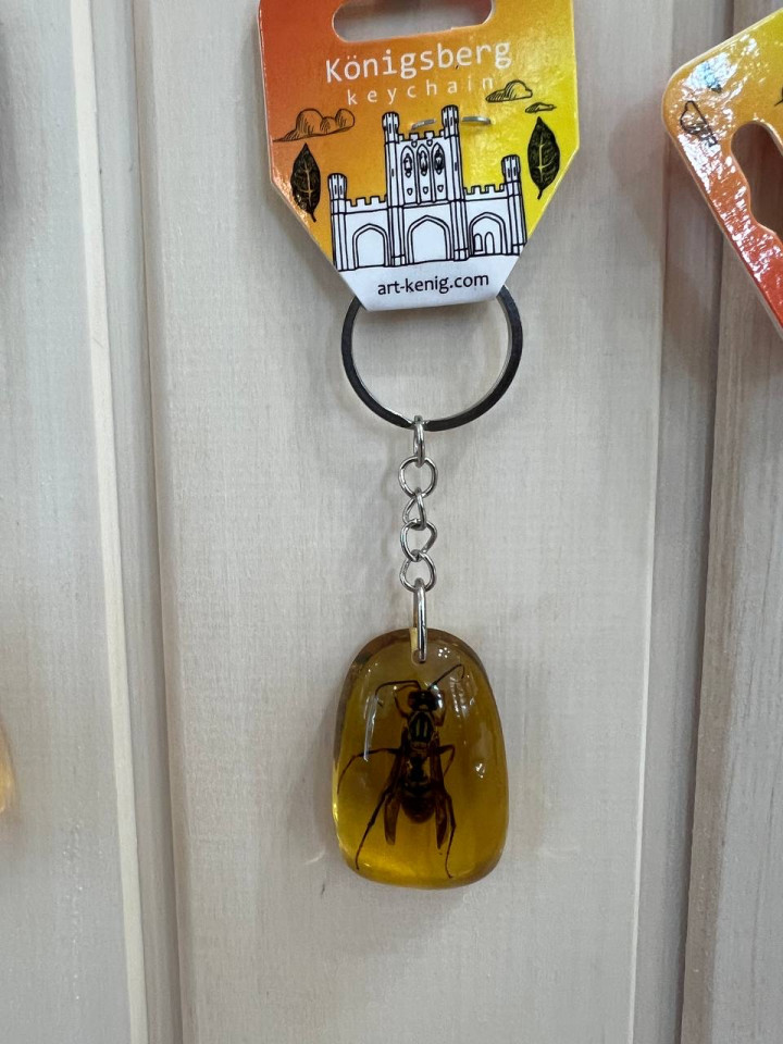 Брелок жук